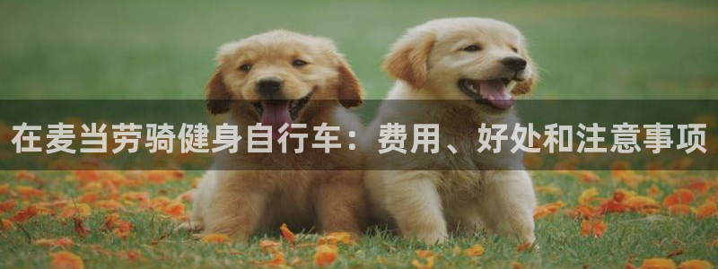 云顶集团最新官方网站